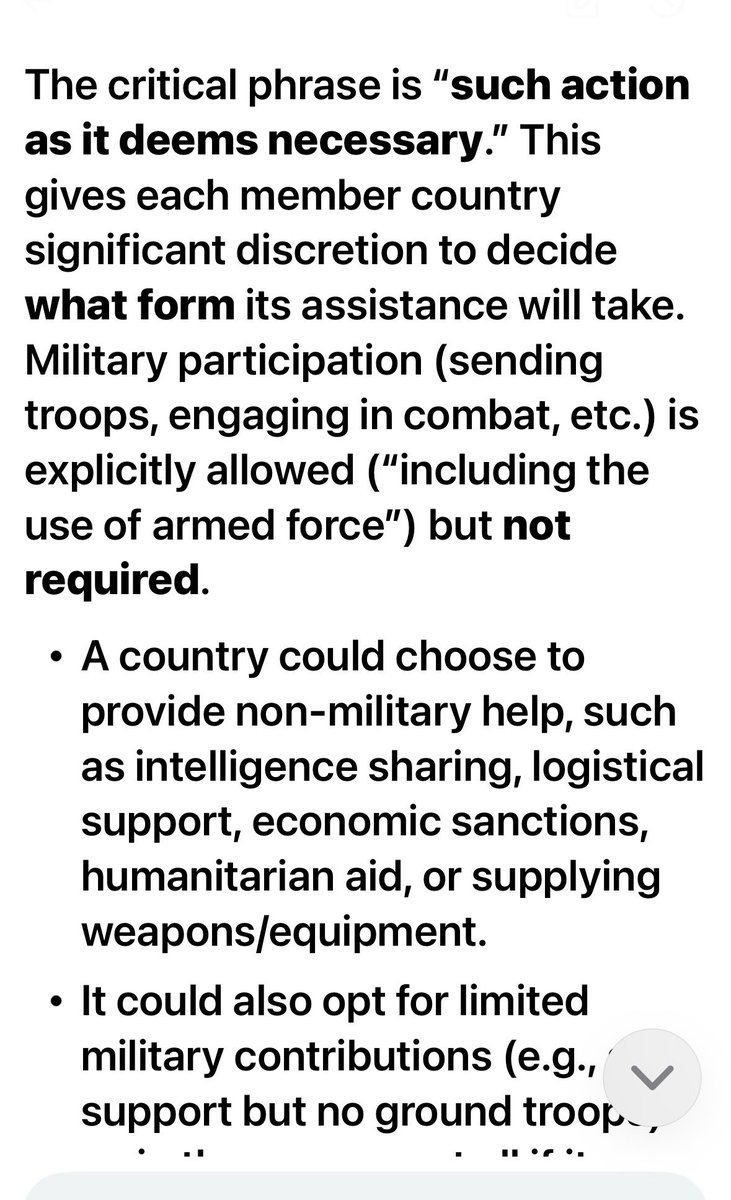 MishaSki tweet media