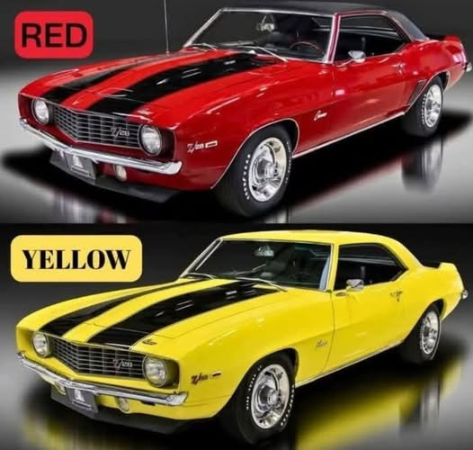 Connie 🇺🇸 tweet media