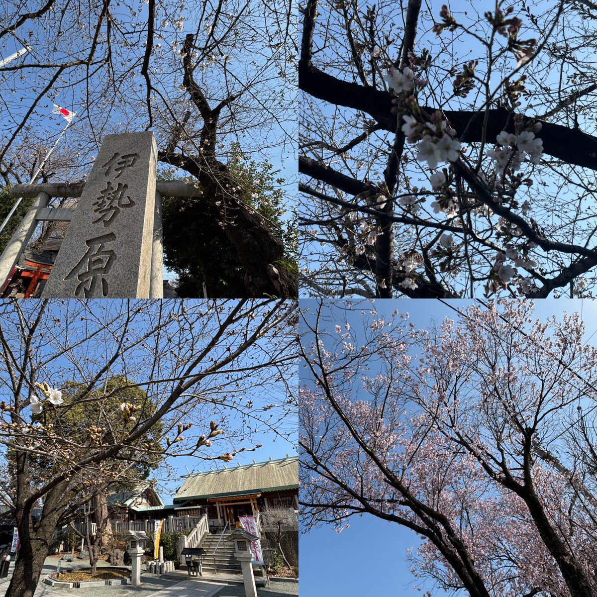 まさ♪うどんの国 tweet media