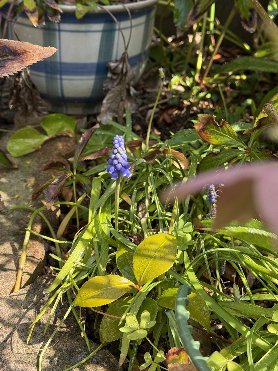 松尾モノ tweet media