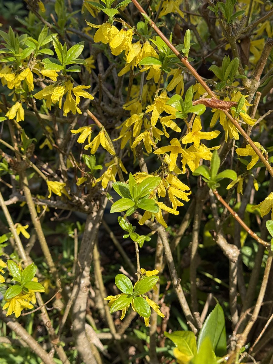 松尾モノ tweet media