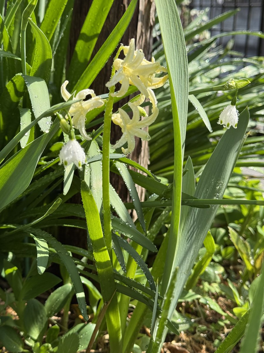 松尾モノ tweet media