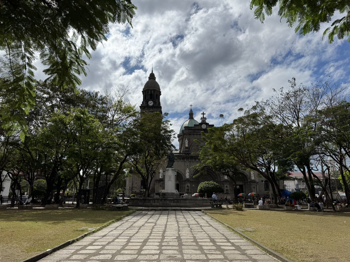 june 💭 tweet media