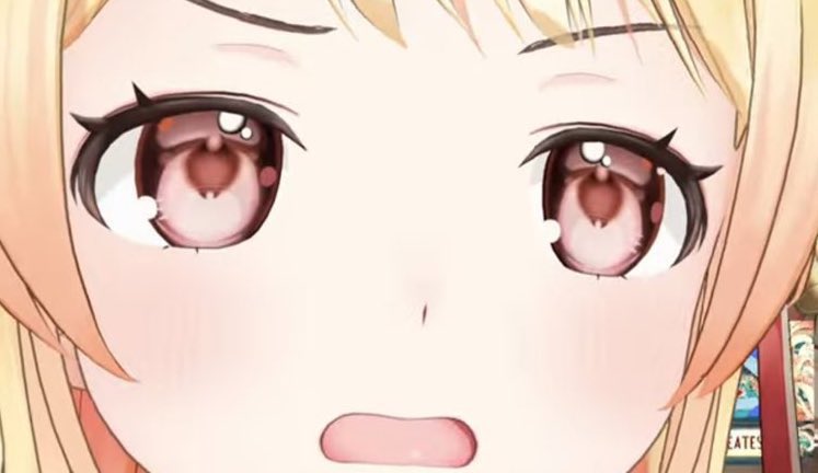 🇺🇸Splatoon Conservatives🇺🇸 tweet media