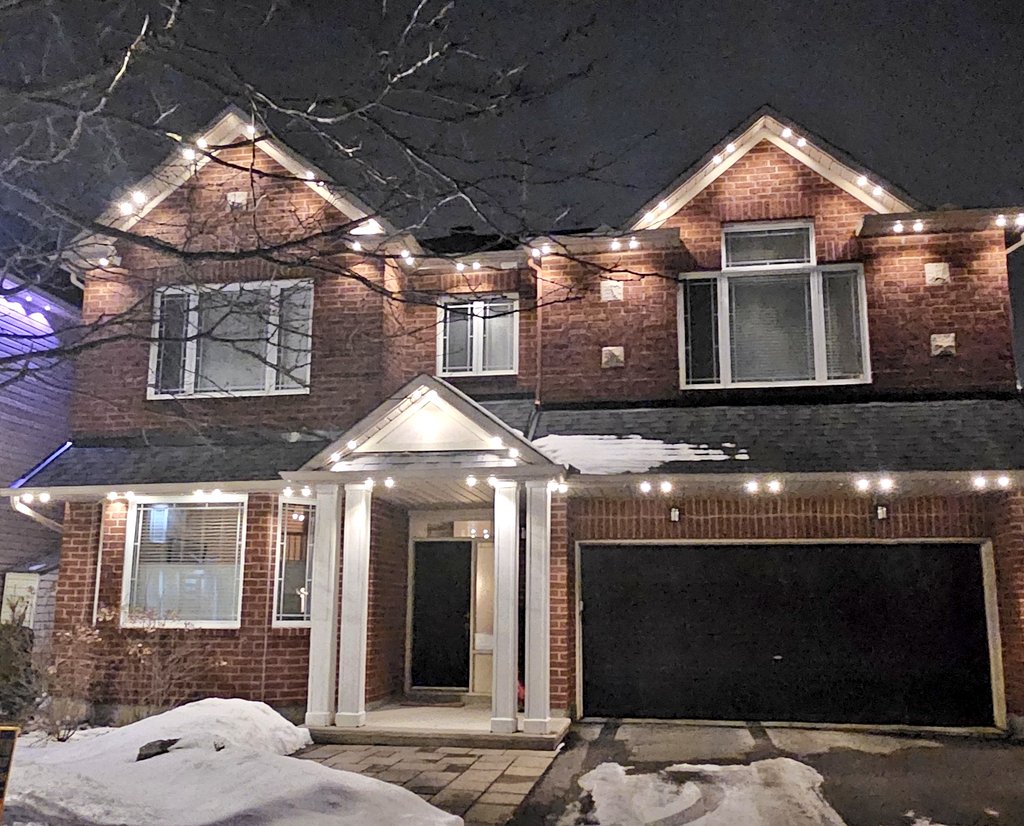 CanadianBlackBear🇨🇦 (CanadianPenny🌈) tweet media