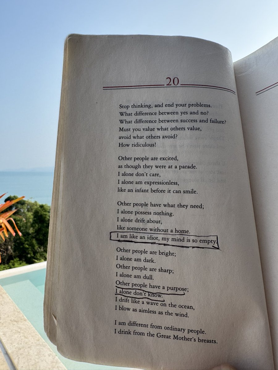 Jack Moses tweet media