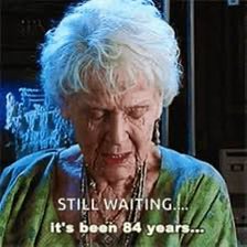 miro_8 🦦 tweet media