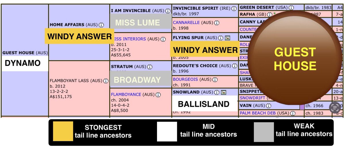 Trevor Donaldson tweet media