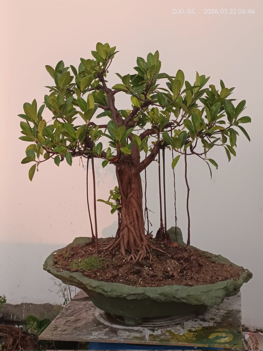 David John Gnanam tweet media