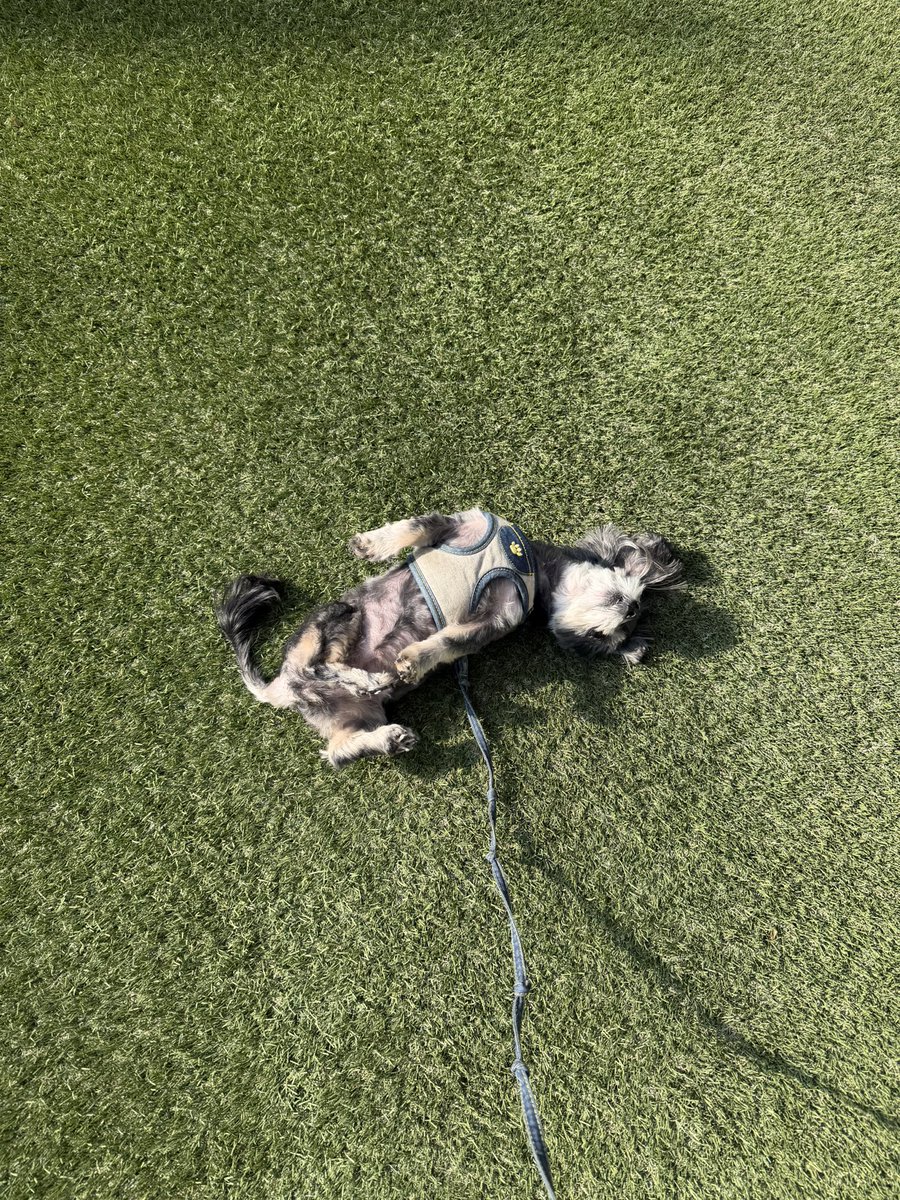 ととのいサウナ tweet media