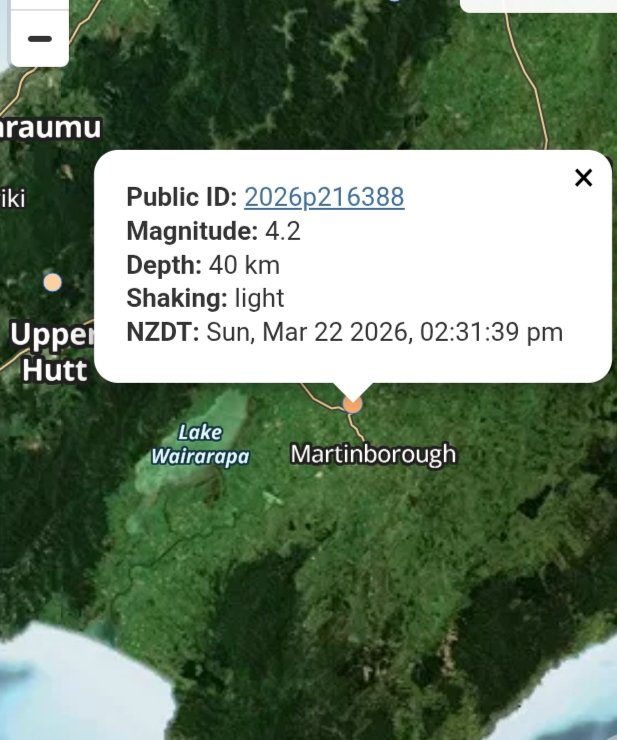 Monkey Business! tweet media