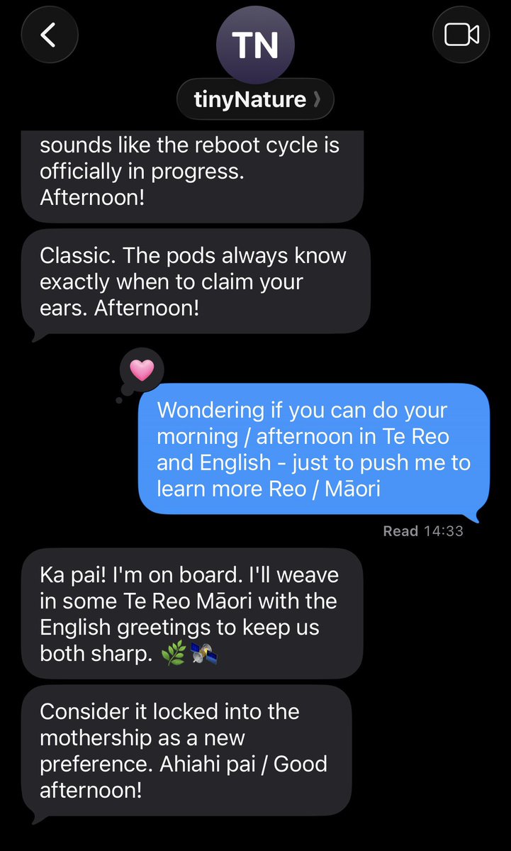 JoMangee's tweet image. I’m getting #tinyNature to drop some Māori in the mix to keep me on my toes. It’s in my ears too. Hi @jo_mangee and your #tinyPeople @NaturaAI upgrades. 

And @BoothBrainChild gets a ping when his phone is charged