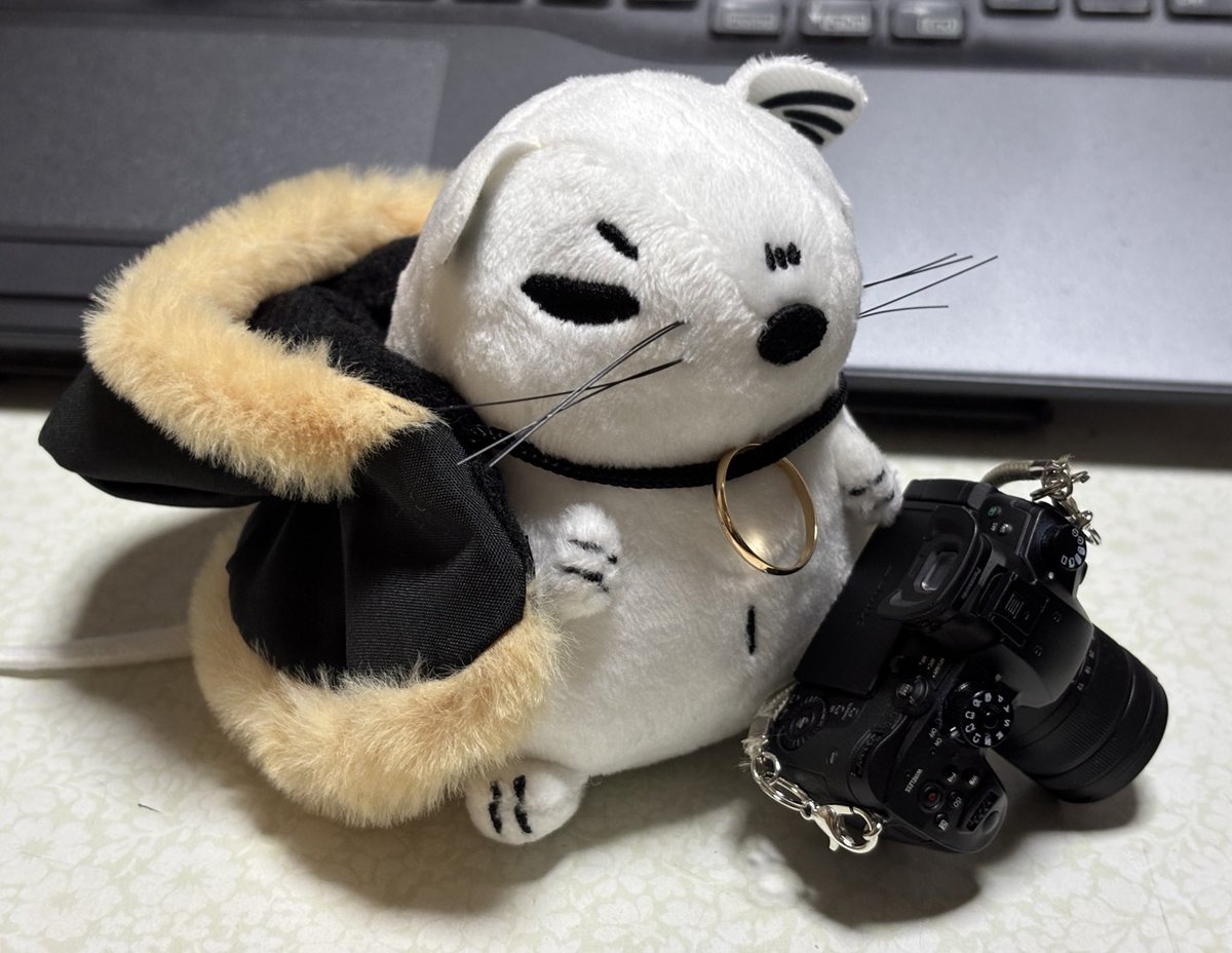 アイニス tweet media