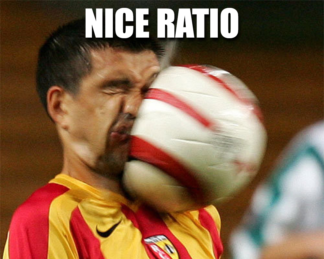 mole at the counter tweet media