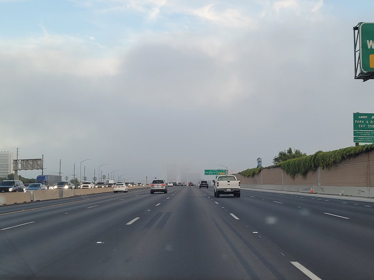 Sitrus 🍊 | 🌱☁️ | 2.0 Debut Mid-2026 tweet media