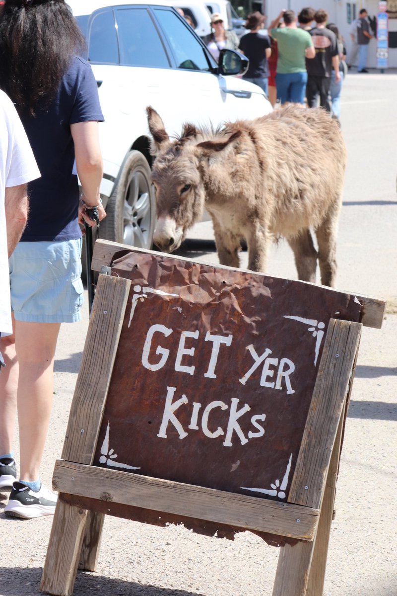 Imperial Seed tweet media