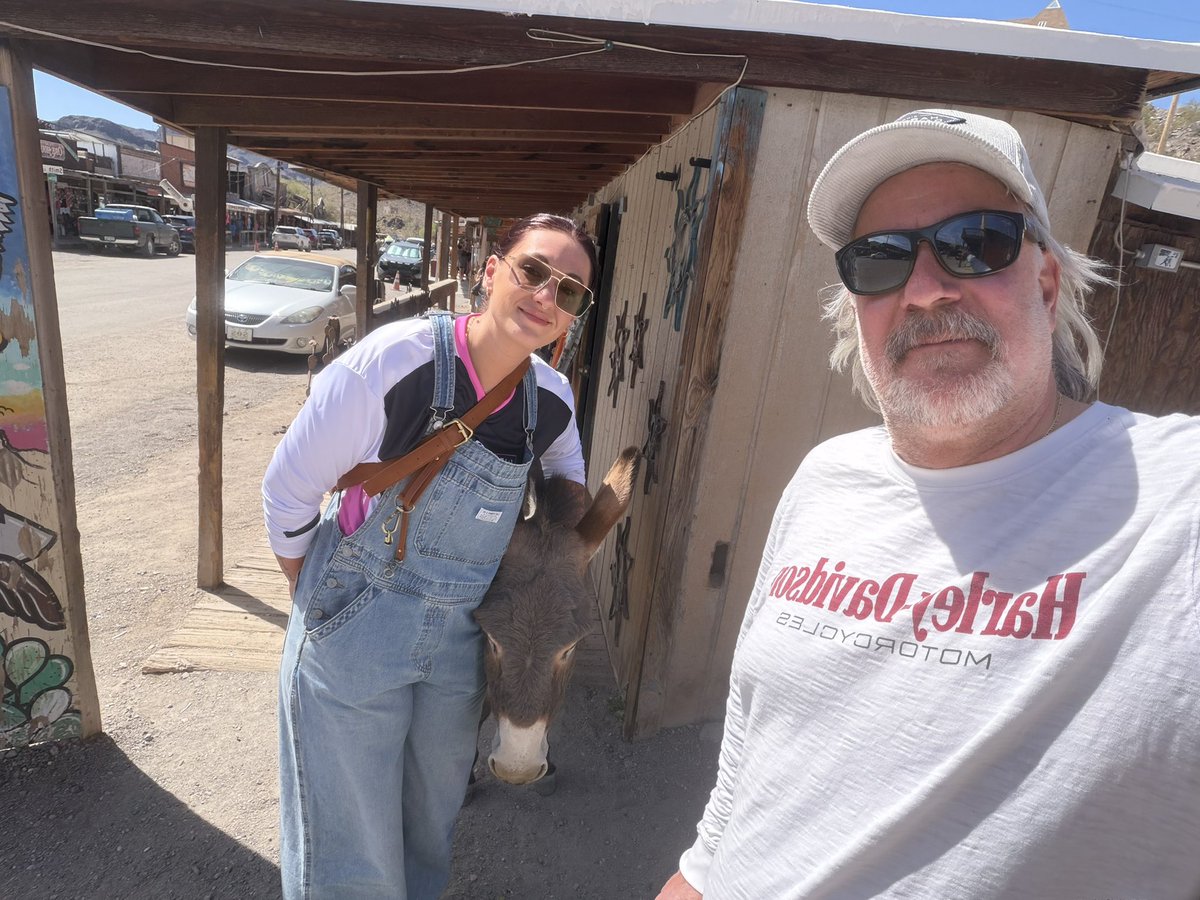 Imperial Seed tweet media