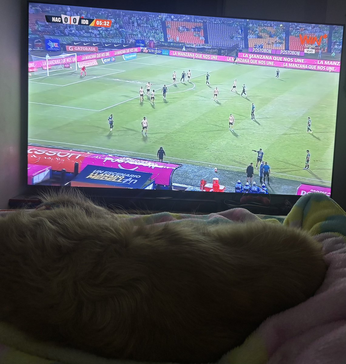 Daniela Ochoa tweet media