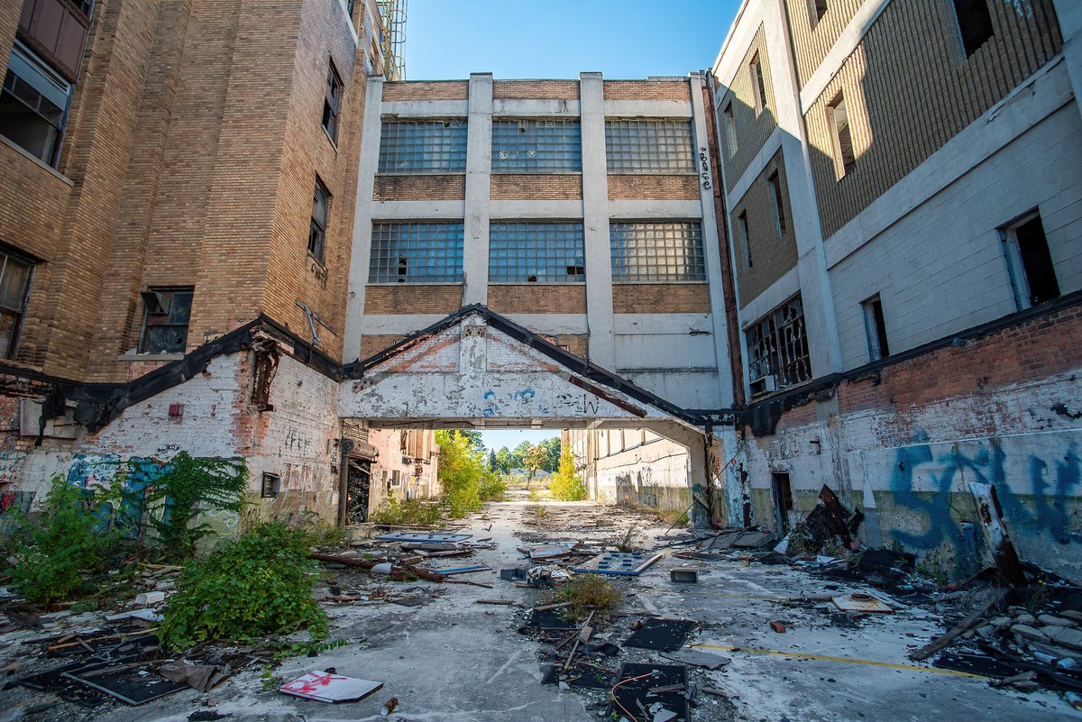 Mr. P. Explores tweet media