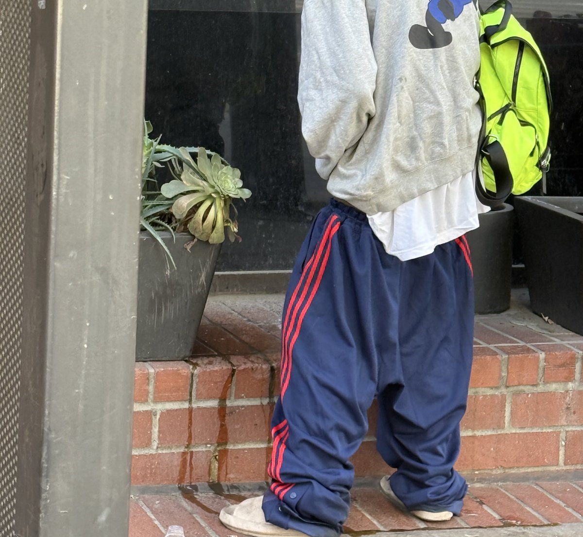 Matt Finn tweet media