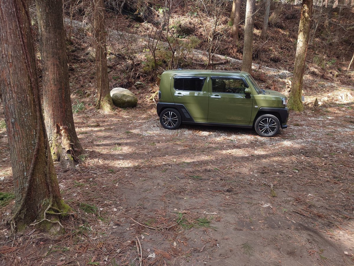 ハチ🇺🇦 tweet media