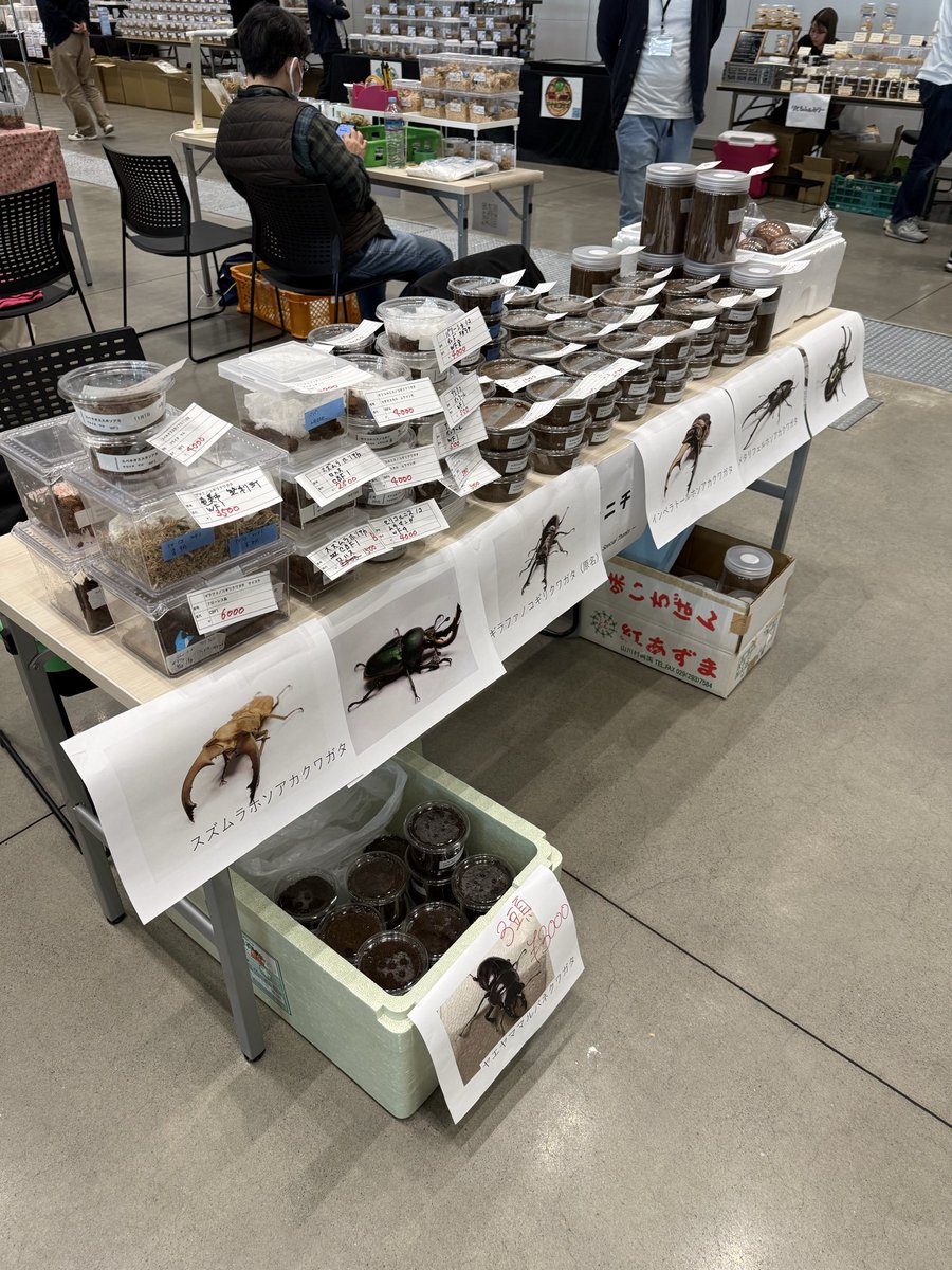 ユウニチ tweet media