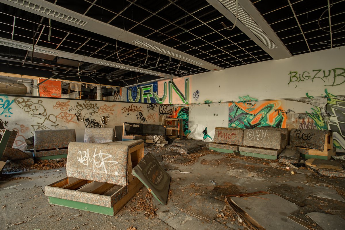 Mr. P. Explores tweet media