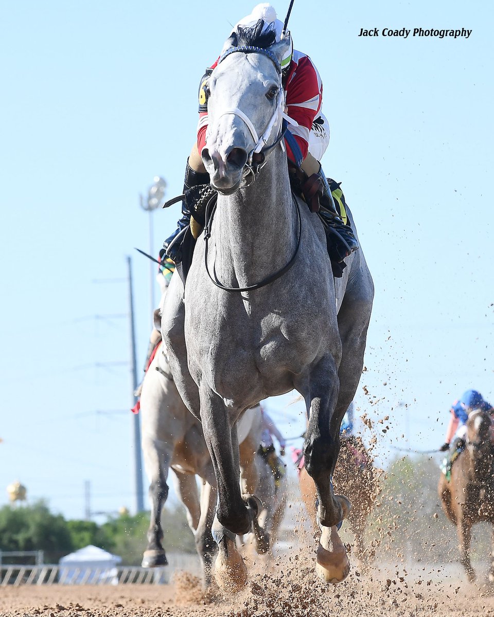 Lane J.Luzzi tweet media