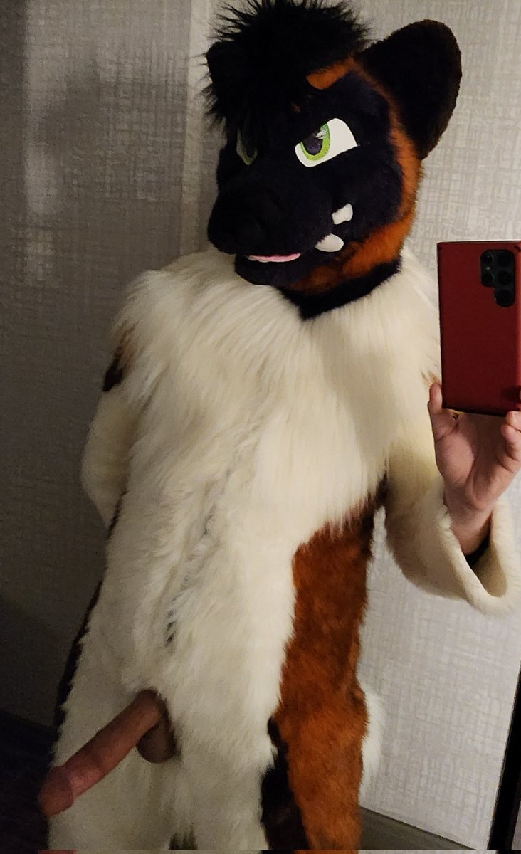 Ziggys 🔜TFF26 tweet media