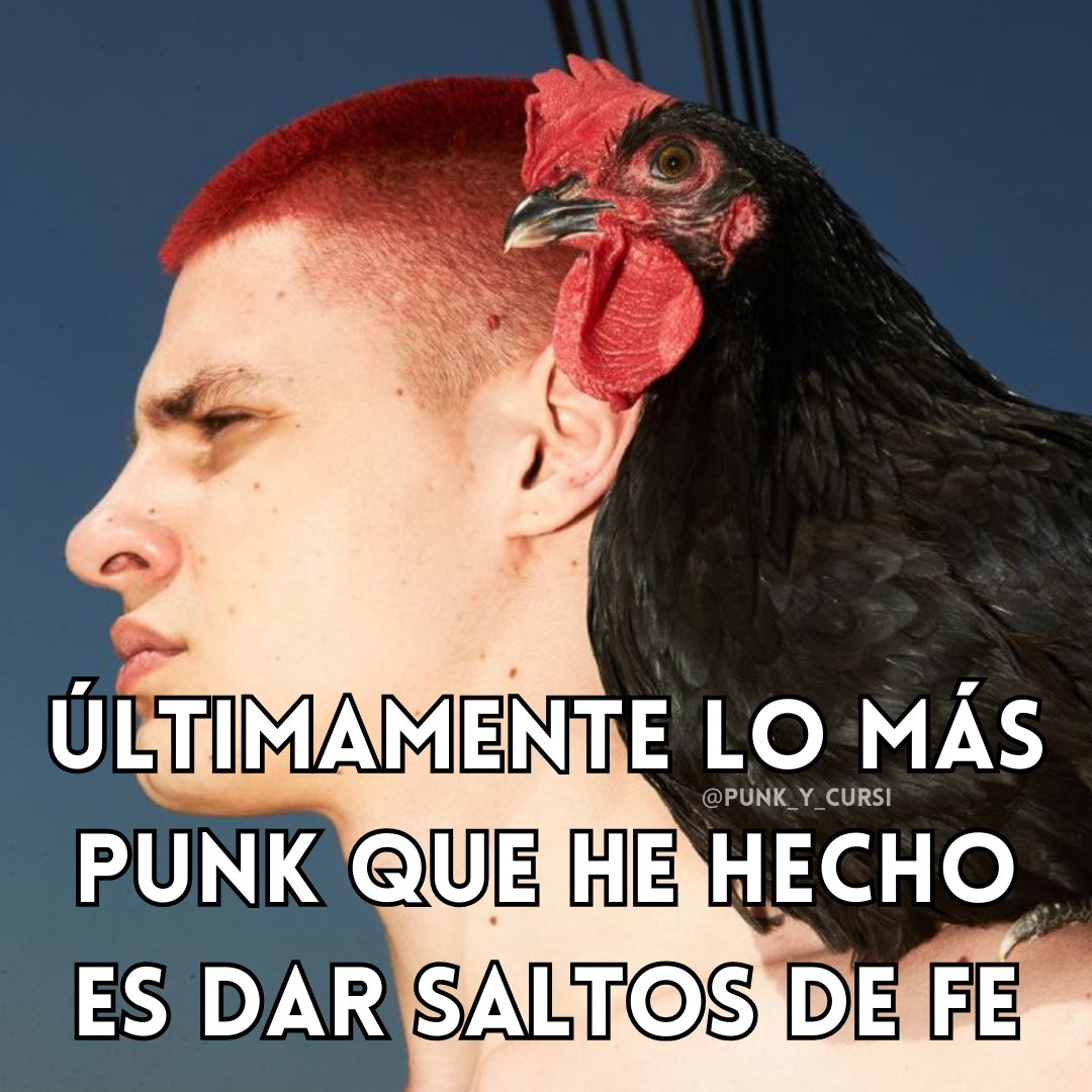 punk_y_cursi's tweet photo. 🐓🐓🐓🐓 https://t.co/upVMMVgENL