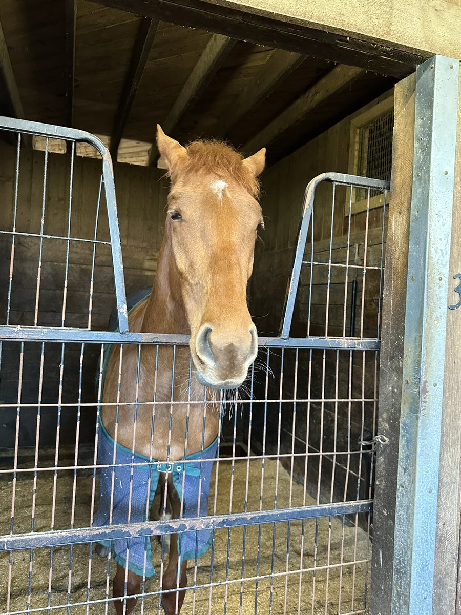 Joel Gavin tweet media