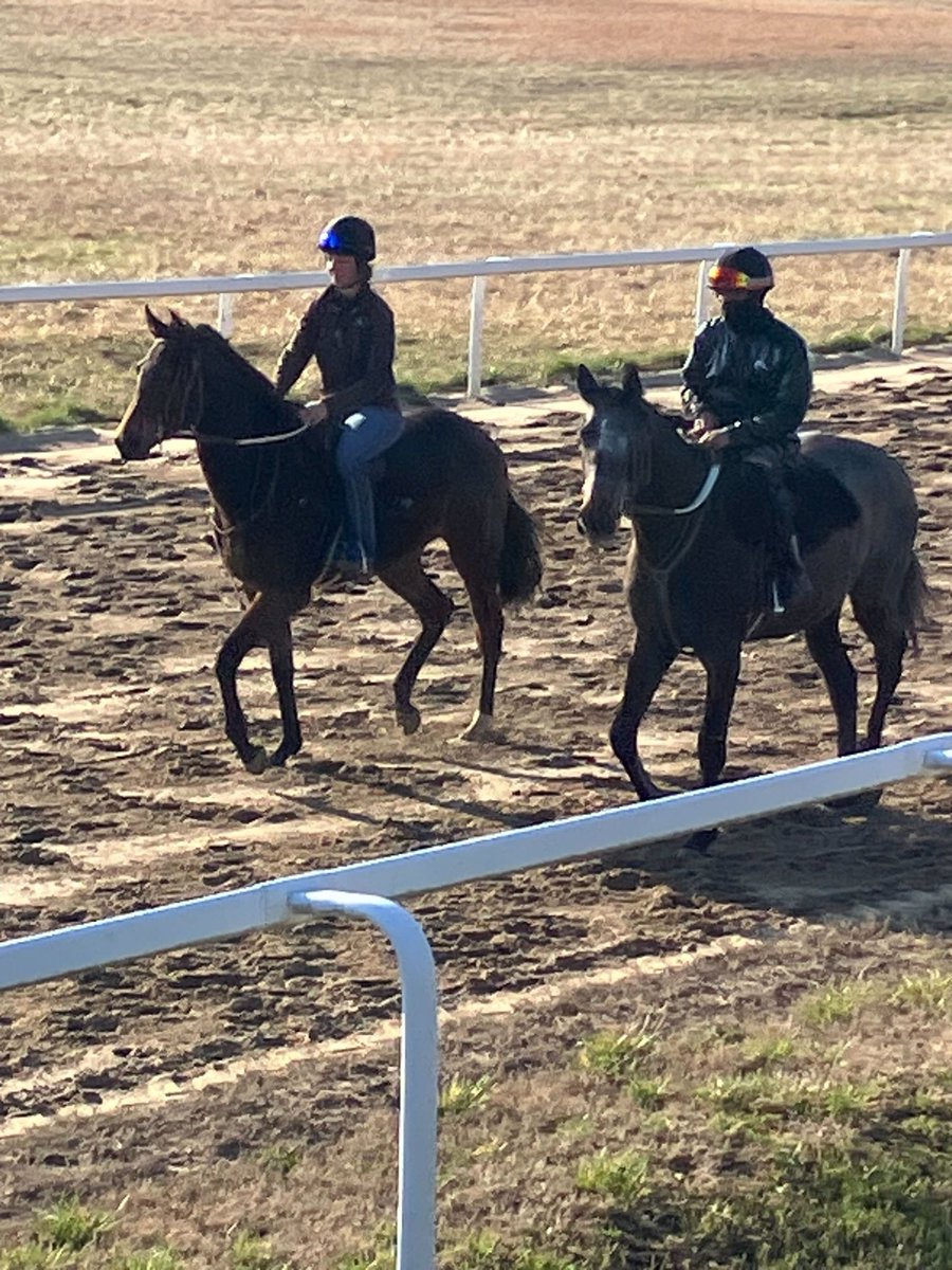 Joel Gavin tweet media