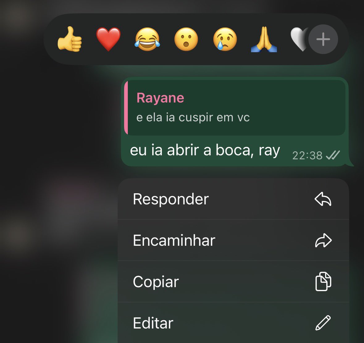 fernanda tweet media