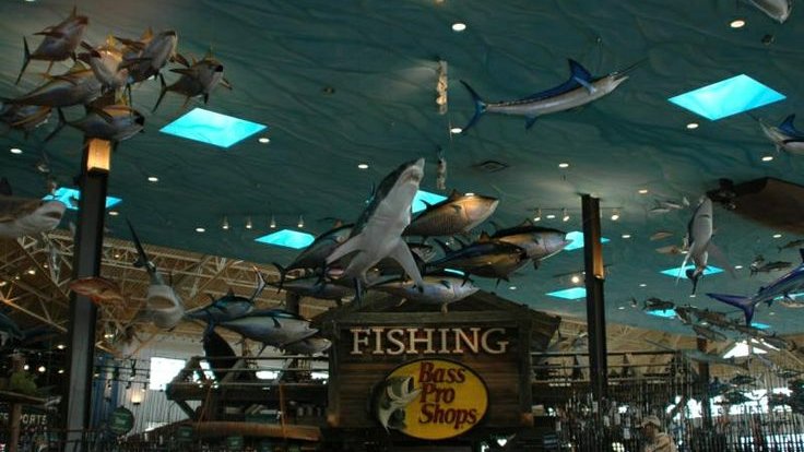 𝒩𝒶𝓉𝒶𝓁𝒾𝒶 tweet media