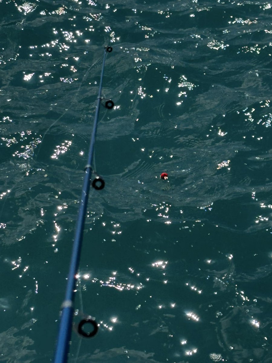 よしだ tweet media