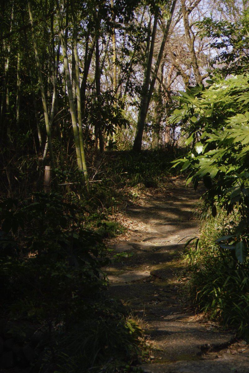 Миканчик✨🌸 tweet media