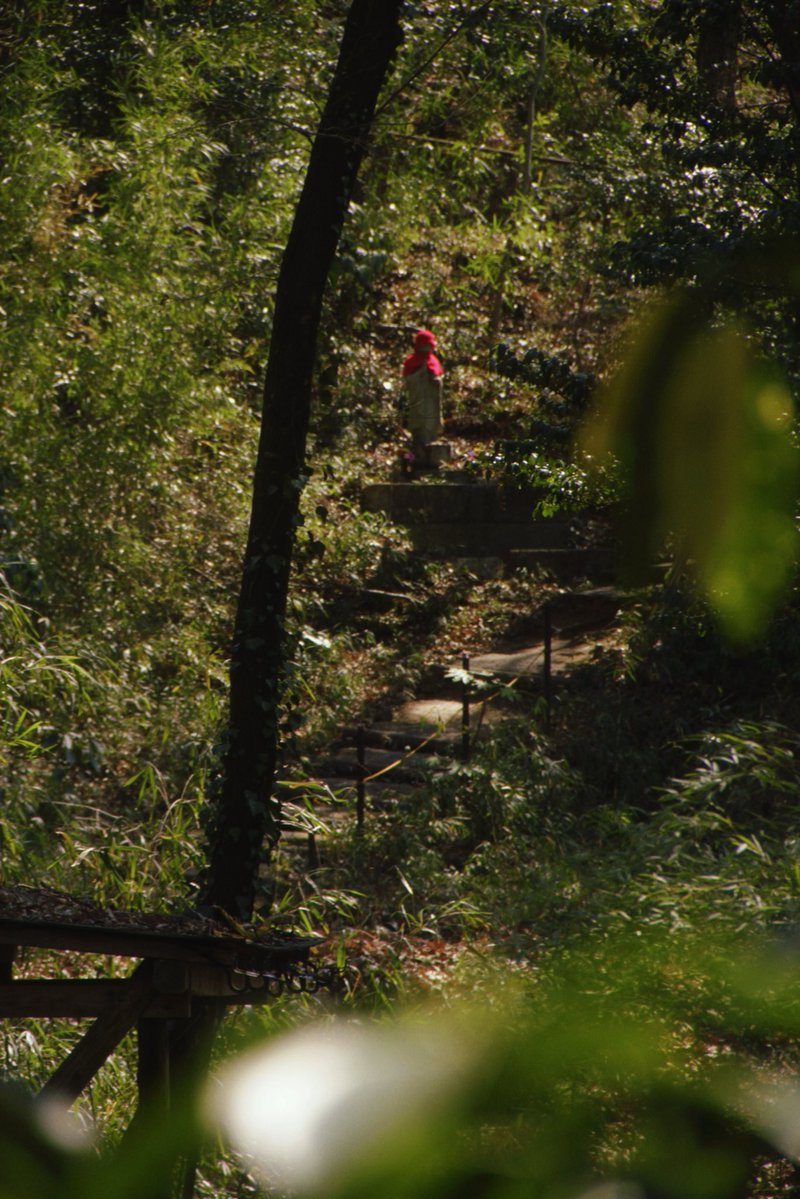 Миканчик✨🌸 tweet media