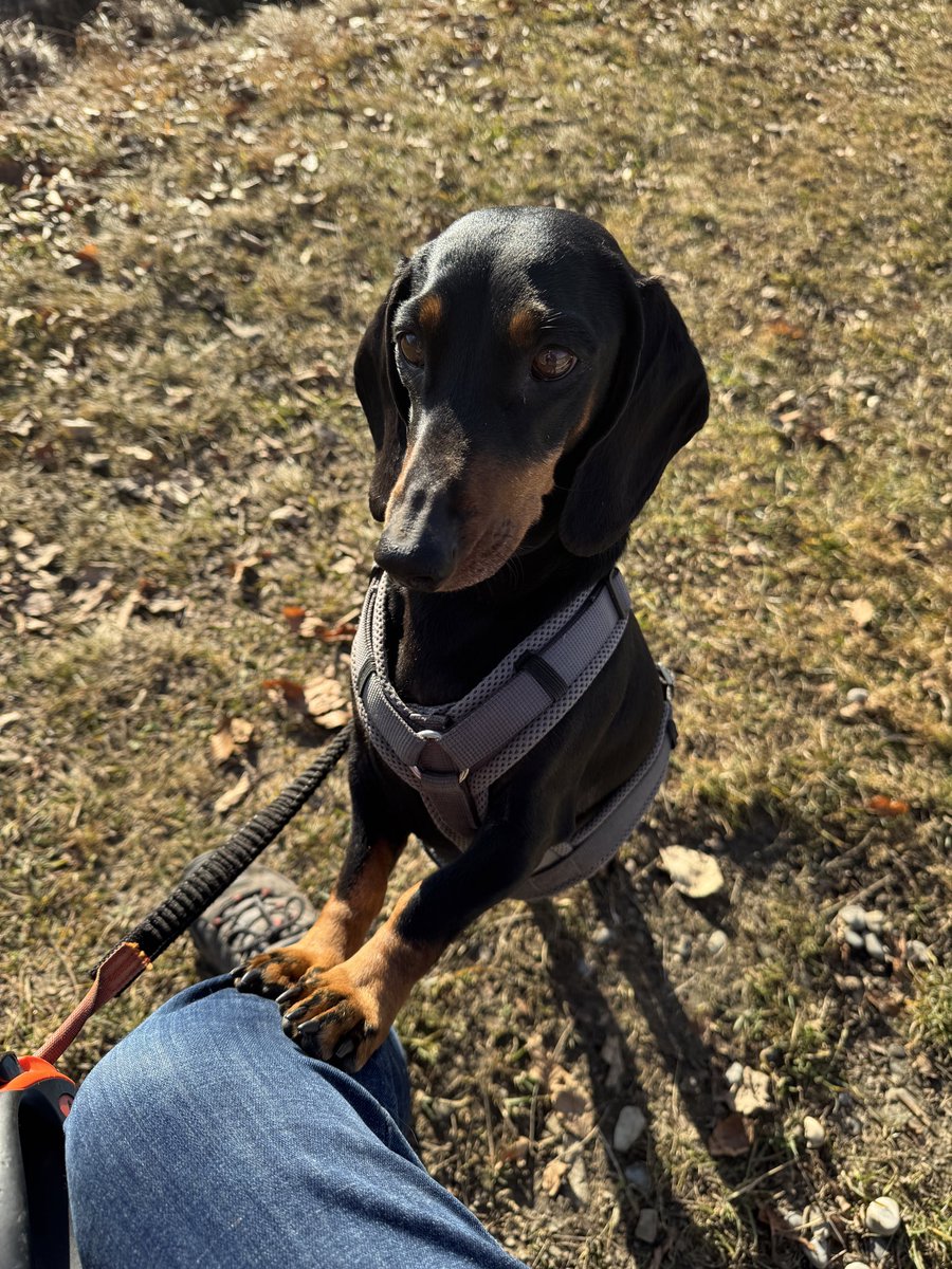 The future Mrs.MacFarlane 🇪🇺 tweet media