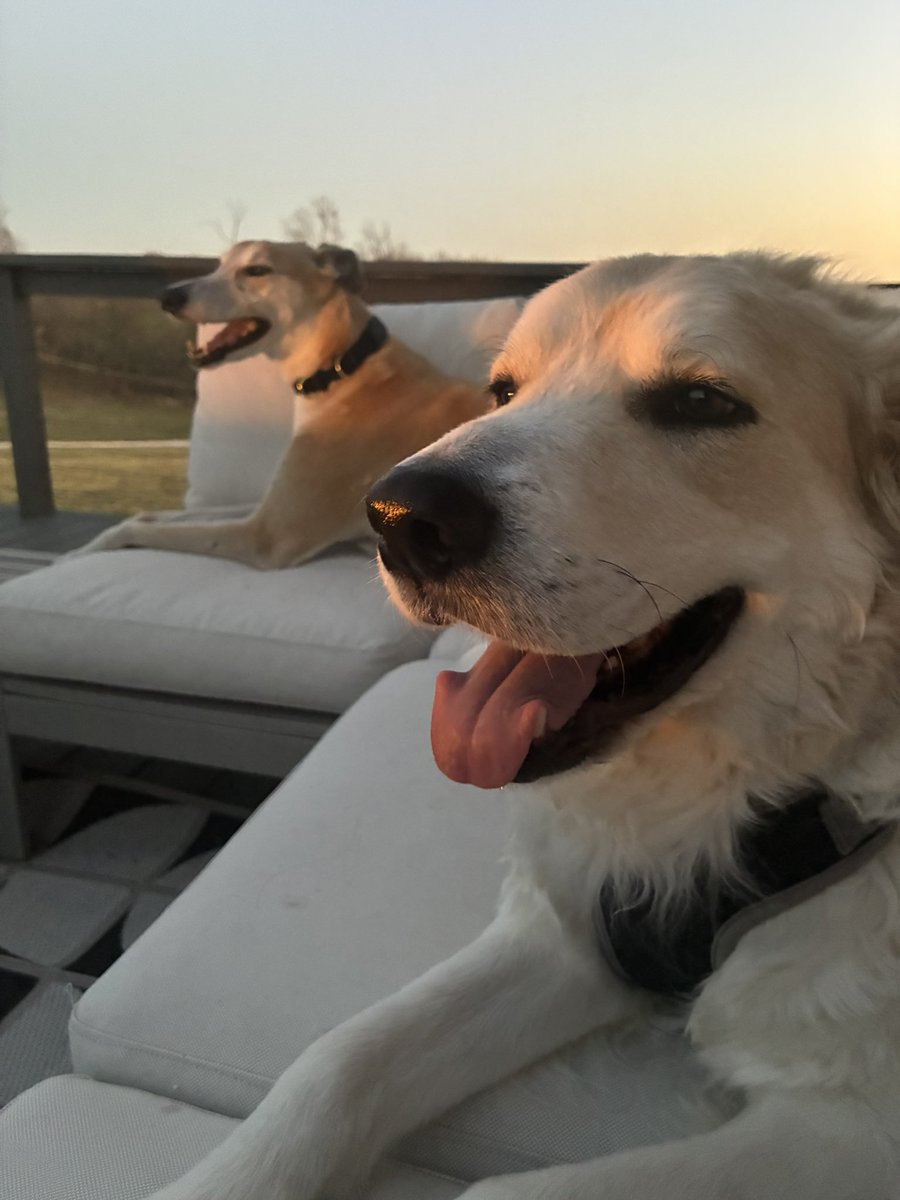 Cheesy🧀 tweet media