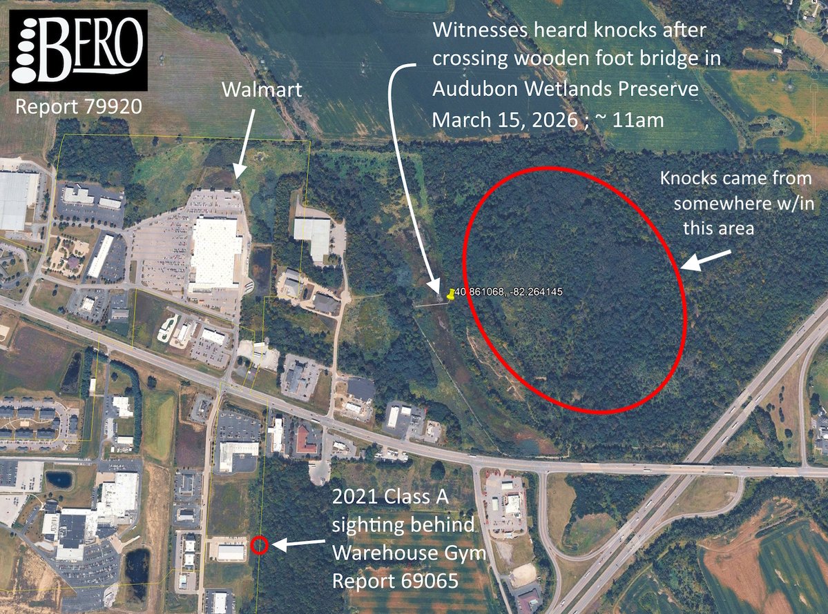 Matt Moneymaker tweet media