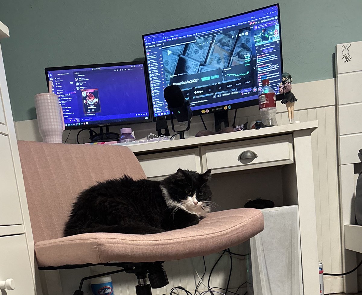 🐦‍⬛Bnuuy! tweet media