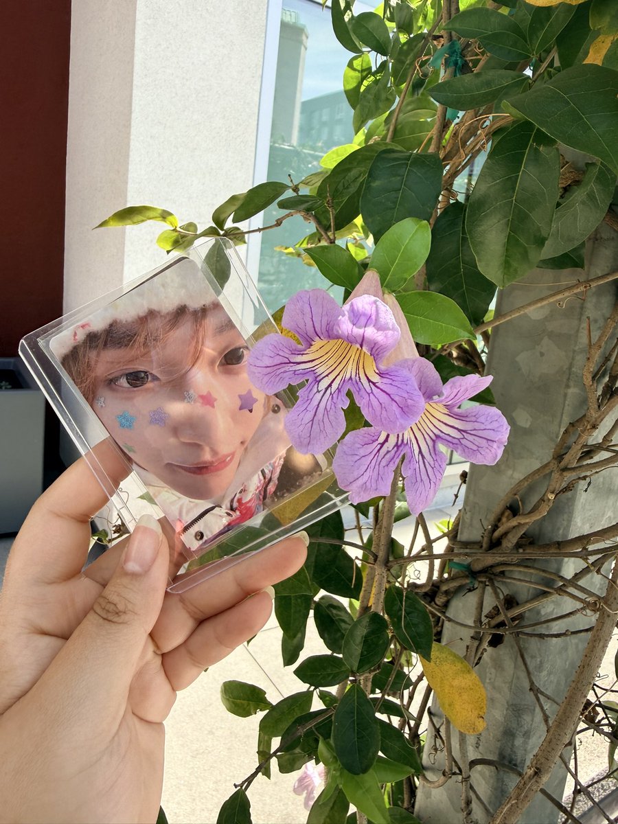 Tuli╰(*´︶`*)╯ tweet media