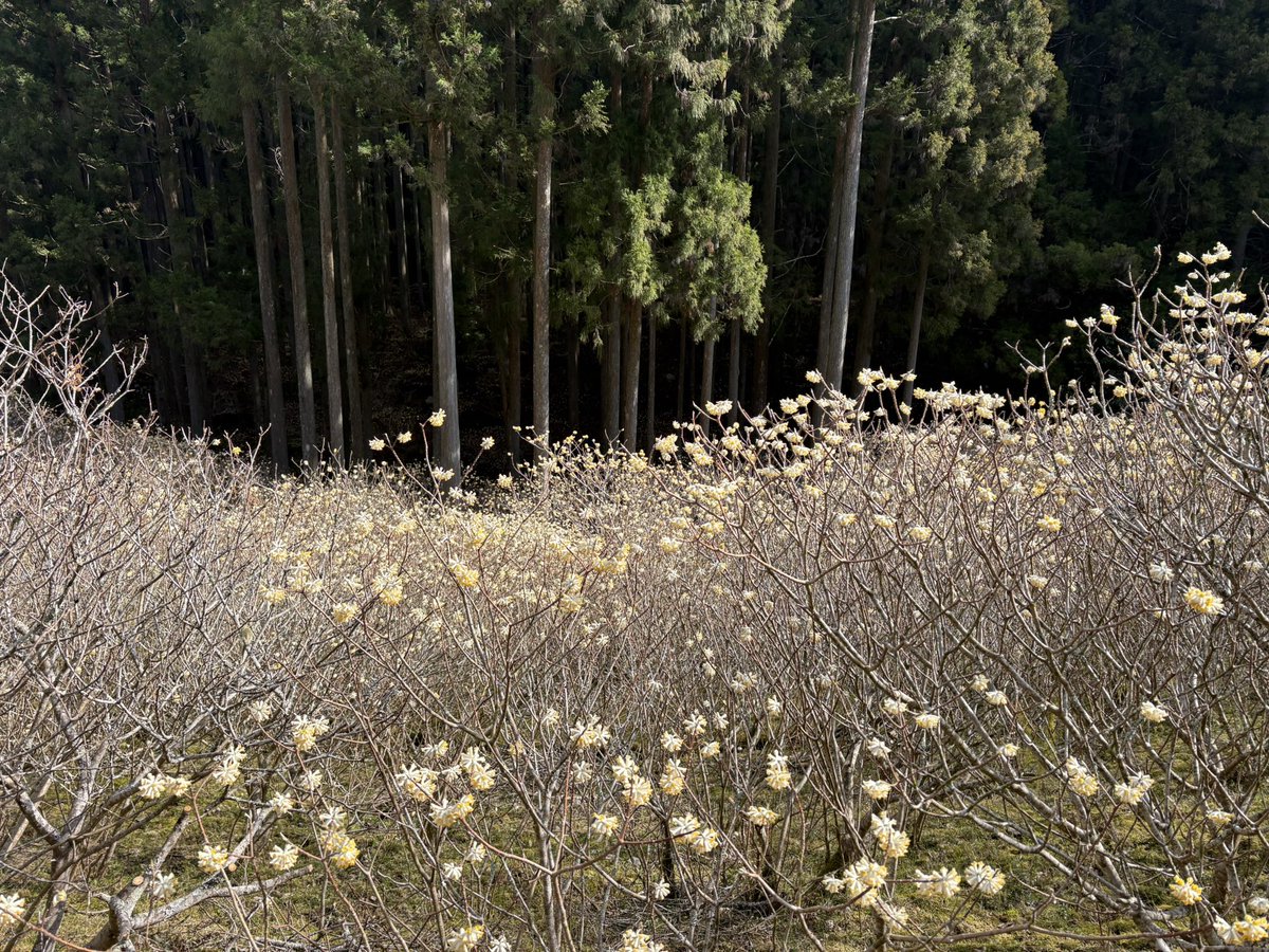 WEEKEND RIDER 週おじ【motovlog】 tweet media