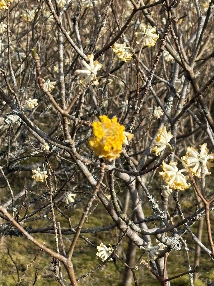 WEEKEND RIDER 週おじ【motovlog】 tweet media