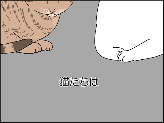 猫のトイレ掃除 