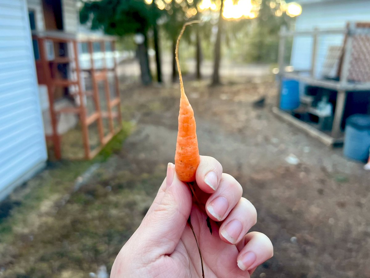 Ceri Willott tweet media