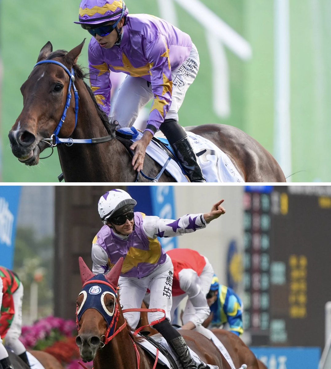 Swettenham Stud tweet media