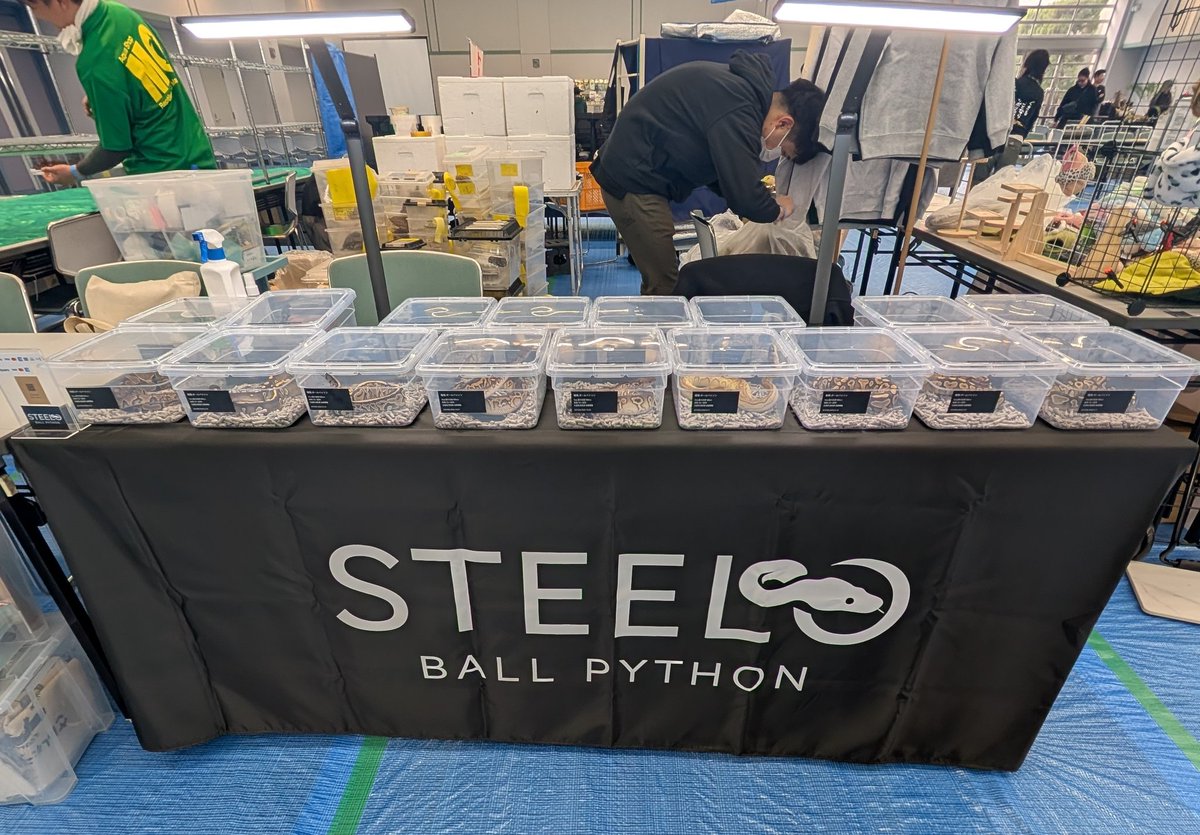 おやっさん/Steelo.bp tweet media