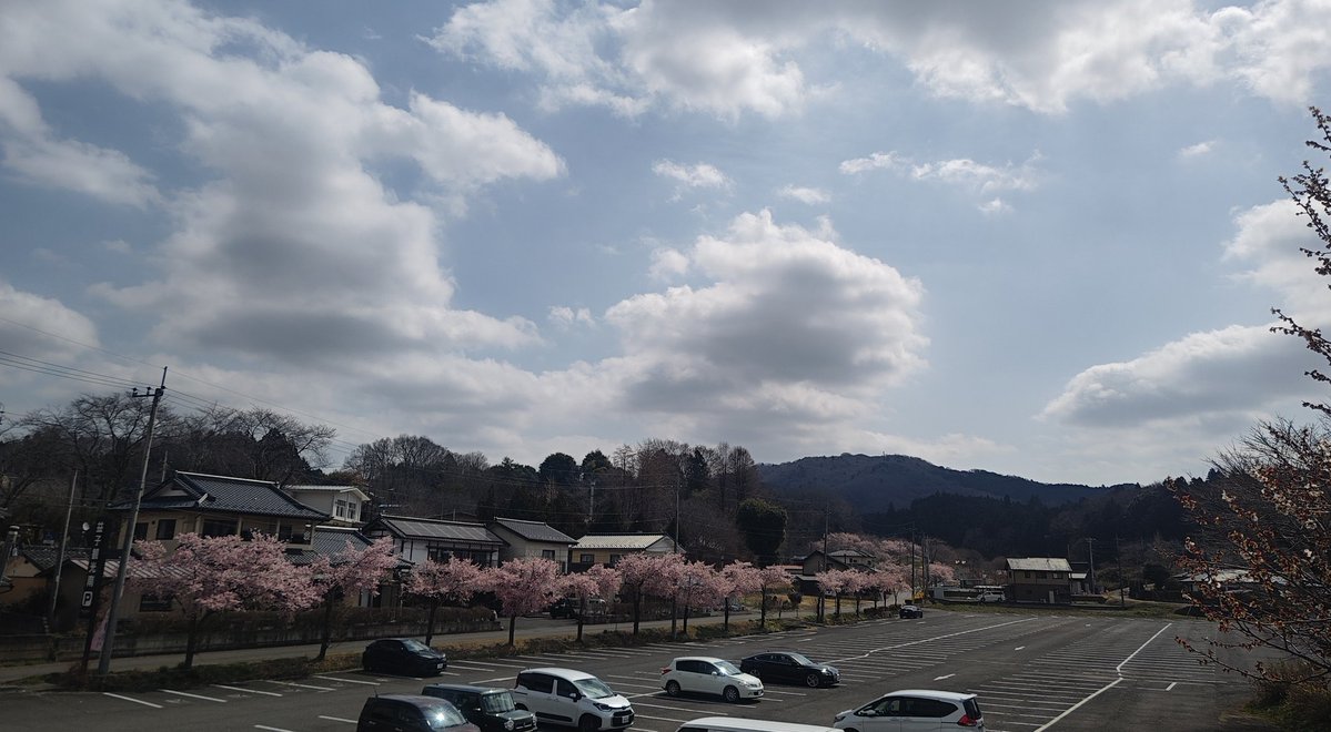 益子焼 木村製陶公式アカウント tweet media