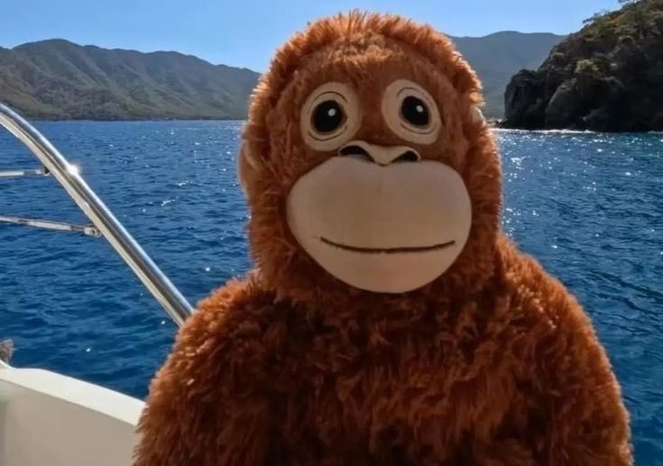 Mrouttheboxx tweet media